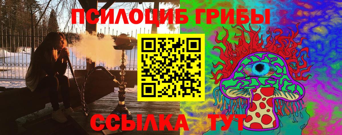 Новочеркасск  Галлюциногенные грибы GOLDEN TEACHER  Вход с VPN 